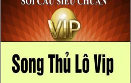 song thủ lô là gì